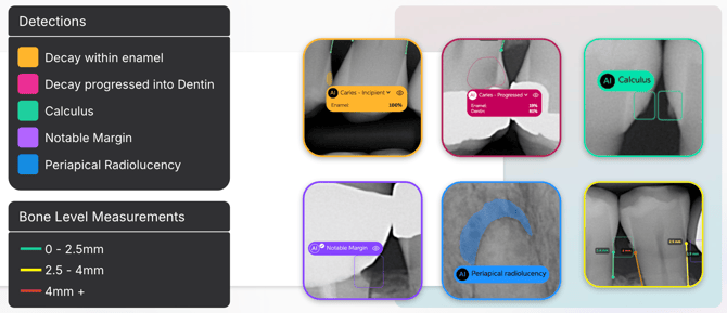 Screenshot 2025-07-31 at 9.19.21 AM